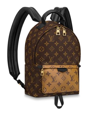 Louis Vuitton Palm Springs Pm M44870 Brown